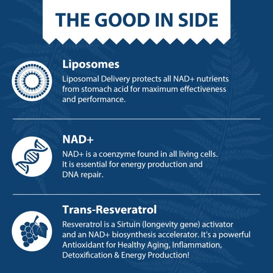 Liposomal NAD+ 500 mg + Trans-Resveratrol 300 mg, 120 Softgels